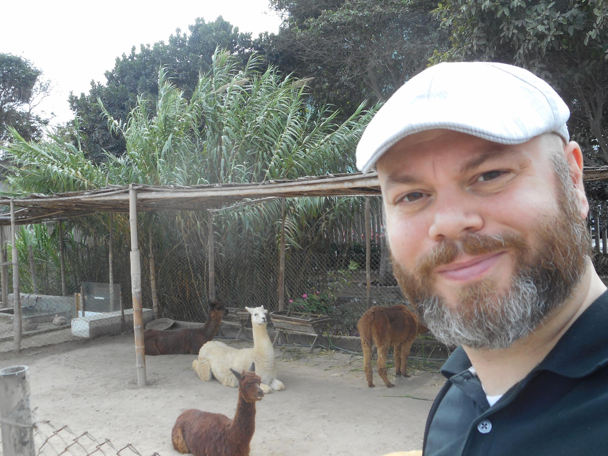 dr cohoon with llamas