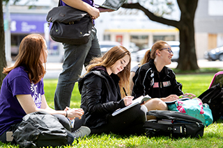 Three students studying outdoors