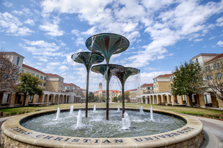 Frog Fountain
