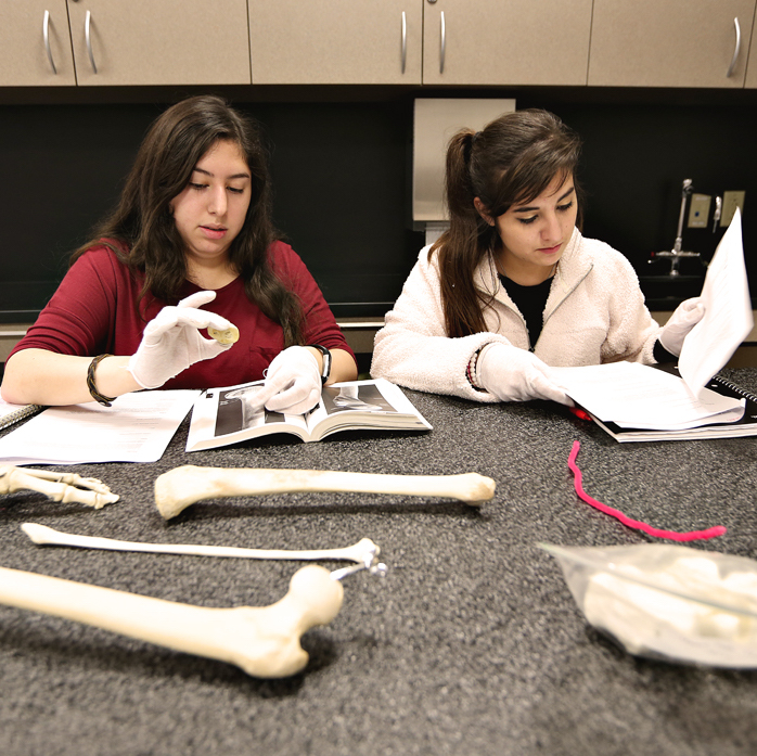 Students examine bones