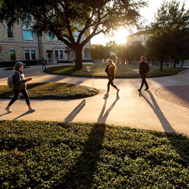 Students walk through campus