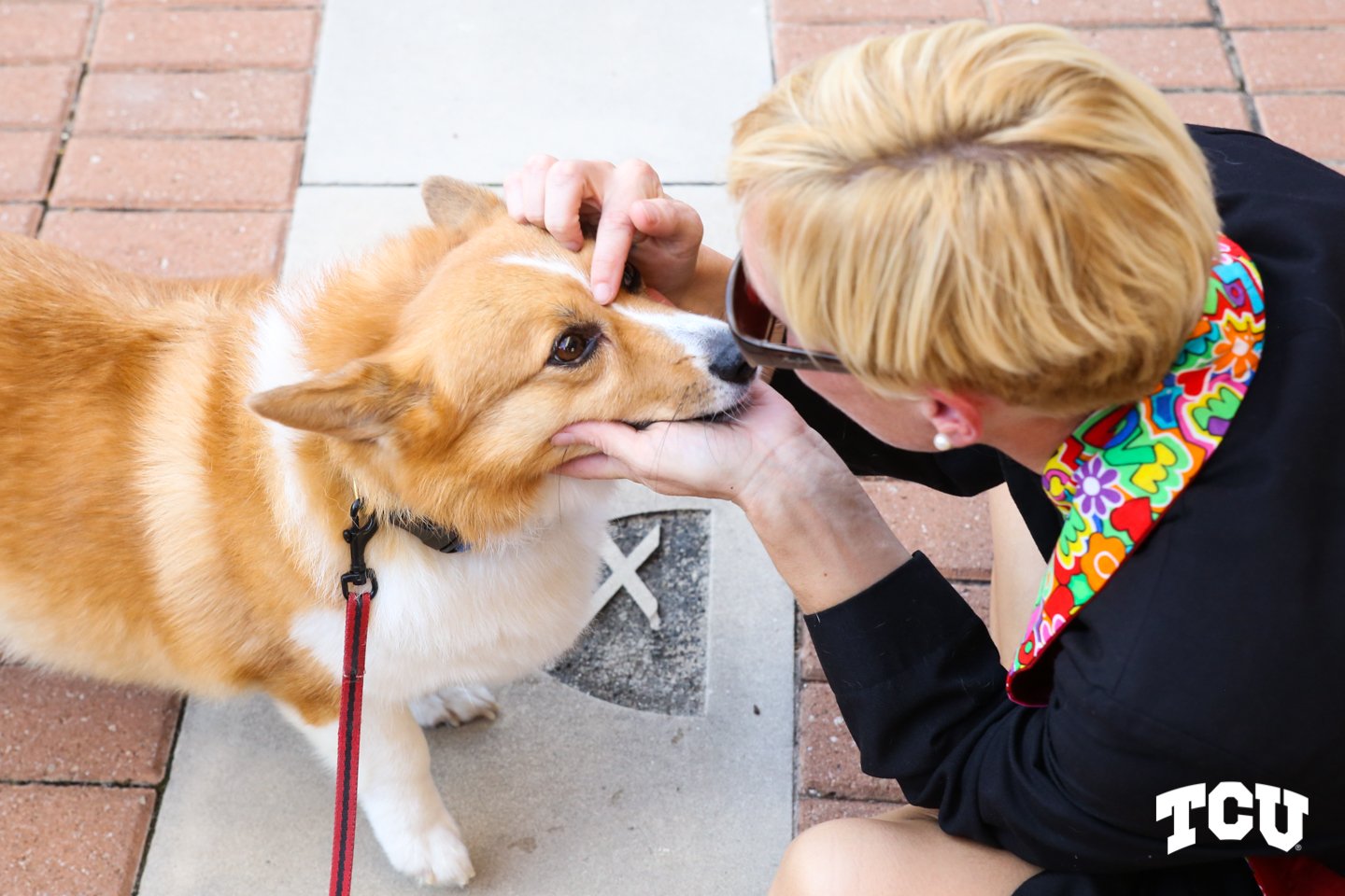 Rev. Lea McCracken giving a blessing to a corgi