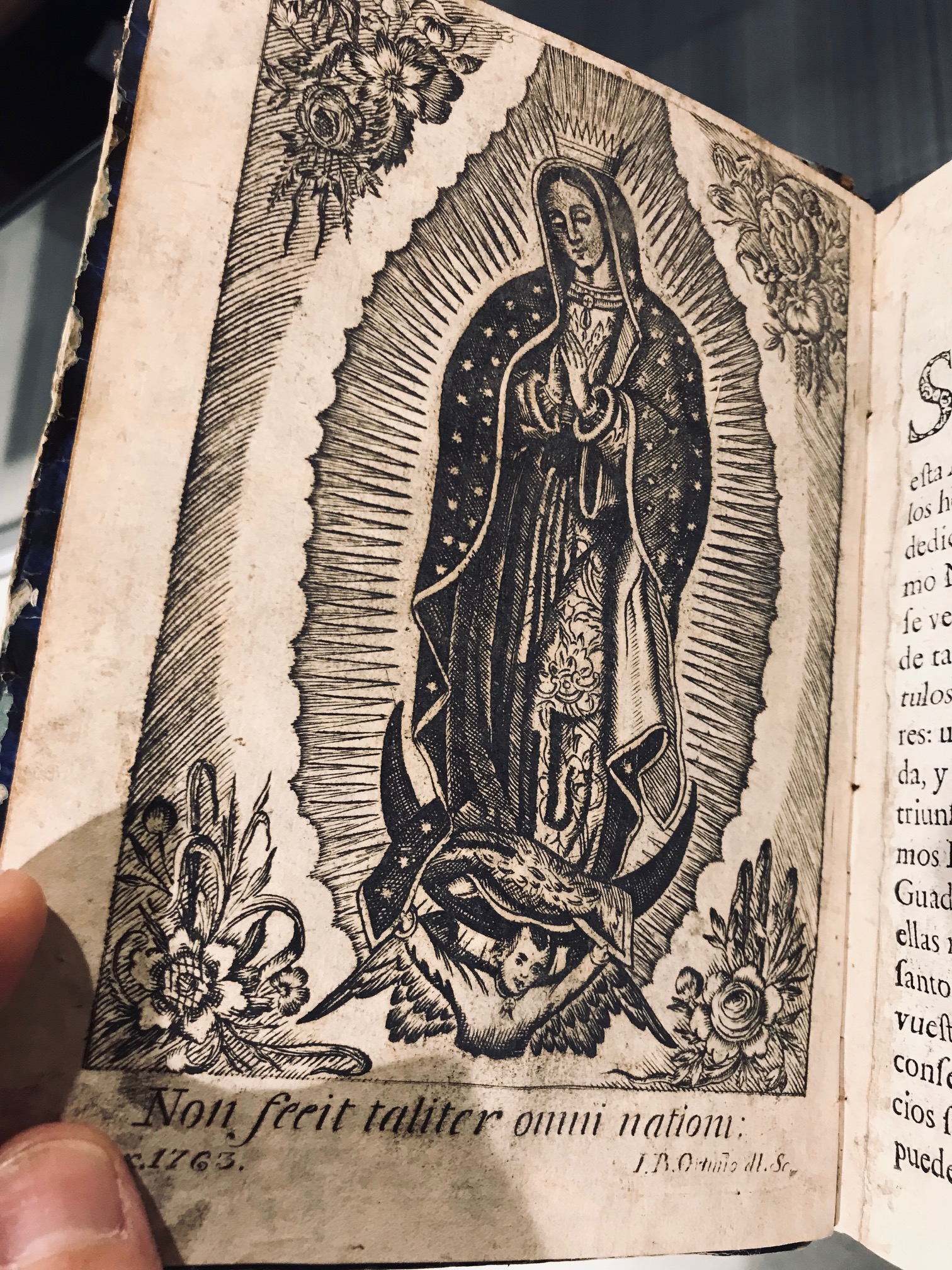 An eighteenth-century reader added a bit of flair to a copy of Francisco de Florencia’s Zodiaco mariano (Mexico City, 1755) by inserting an engraving of the Virgin of Guadalupe to enhance the book’s subject matter: to help identify miraculous images of Mary in New Spain.