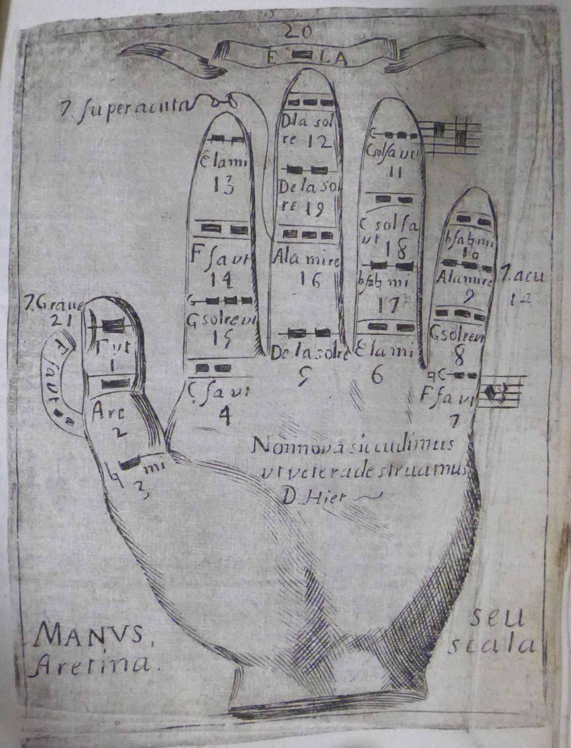 The Guidonian hand, a mnemonic device used by Guido de Arezzo to teach music in the 11th c., formed part of the toolkit of Franciscan missionaries in the Americas. Manuel Sánchez included this example to teach plainsong in his Rule of St Francis (Mexico City, 1725).